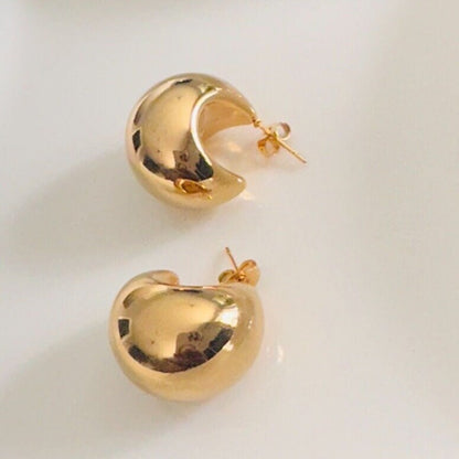 18K Gold Plated Chubby Earrings